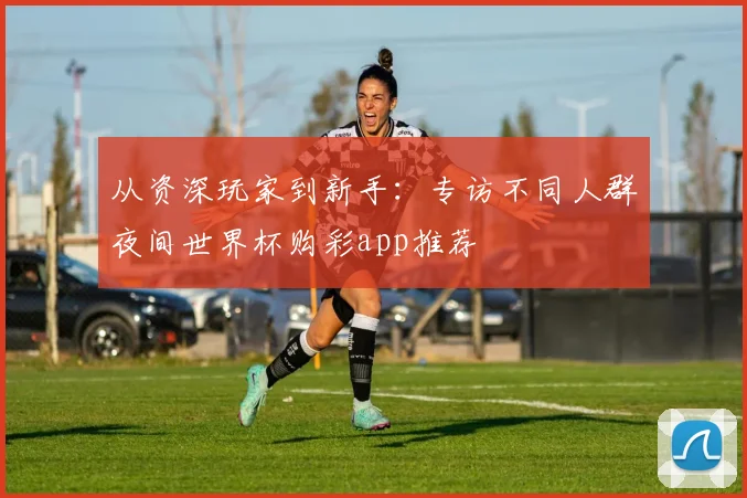 从资深玩家到新手：专访不同人群夜间世界杯购彩app推荐
