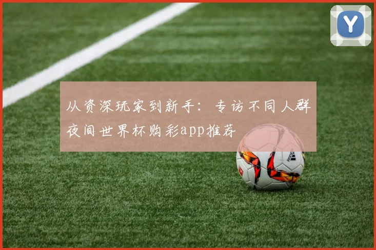 从资深玩家到新手：专访不同人群夜间世界杯购彩app推荐