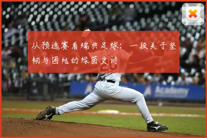 从预选赛看瑞典足球:一段关于坚韧与团结的绿茵史诗